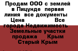 Продам ООО с землей в Пицунде, первая линия, все документы › Цена ­ 9 000 000 - Все города Недвижимость » Земельные участки продажа   . Крым,Старый Крым